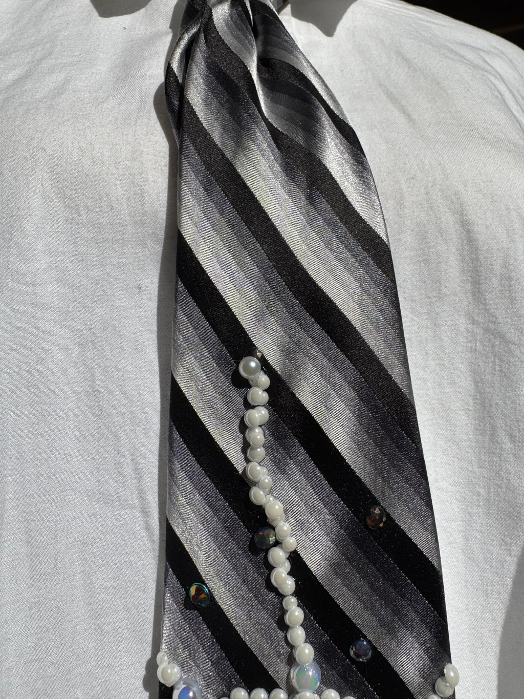 White and Black Striped Spiders Nature Royalty Tie