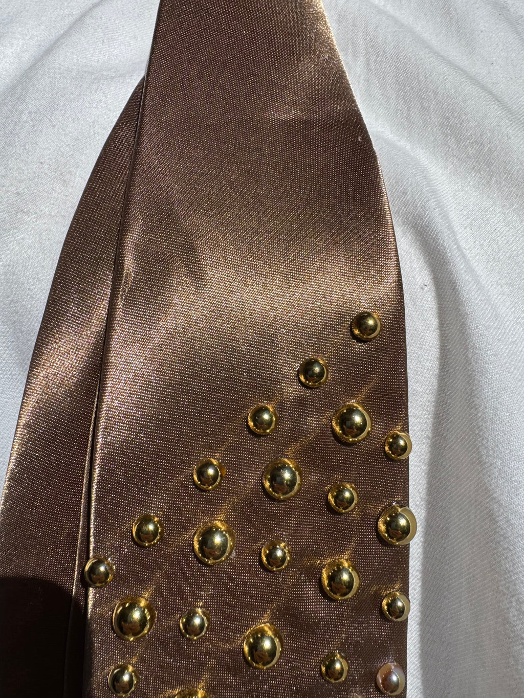 Brown Silk Colored Aura Phoenix High Class Royalty Nature Tie