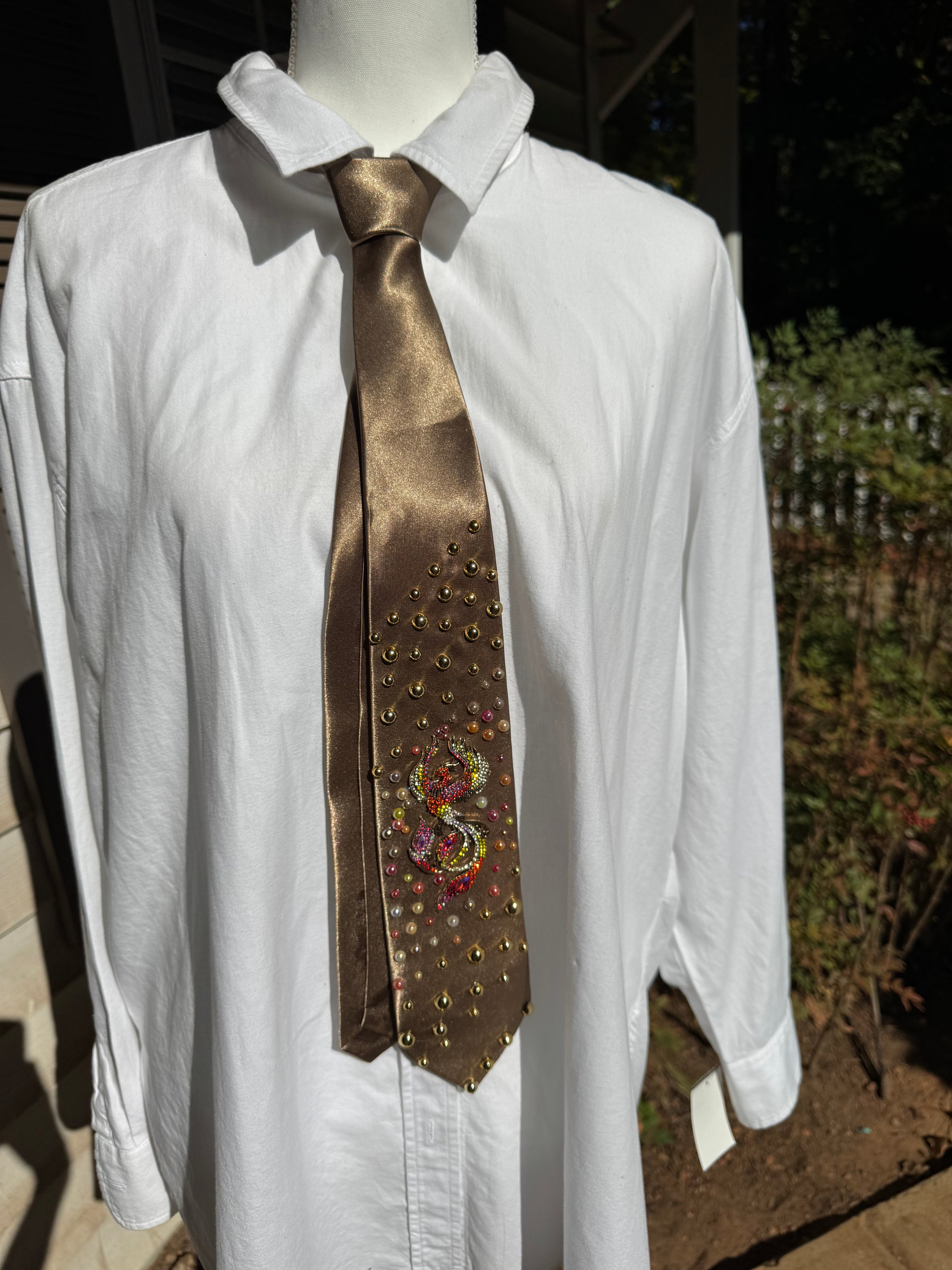Brown Silk Colored Aura Phoenix High Class Royalty Nature Tie