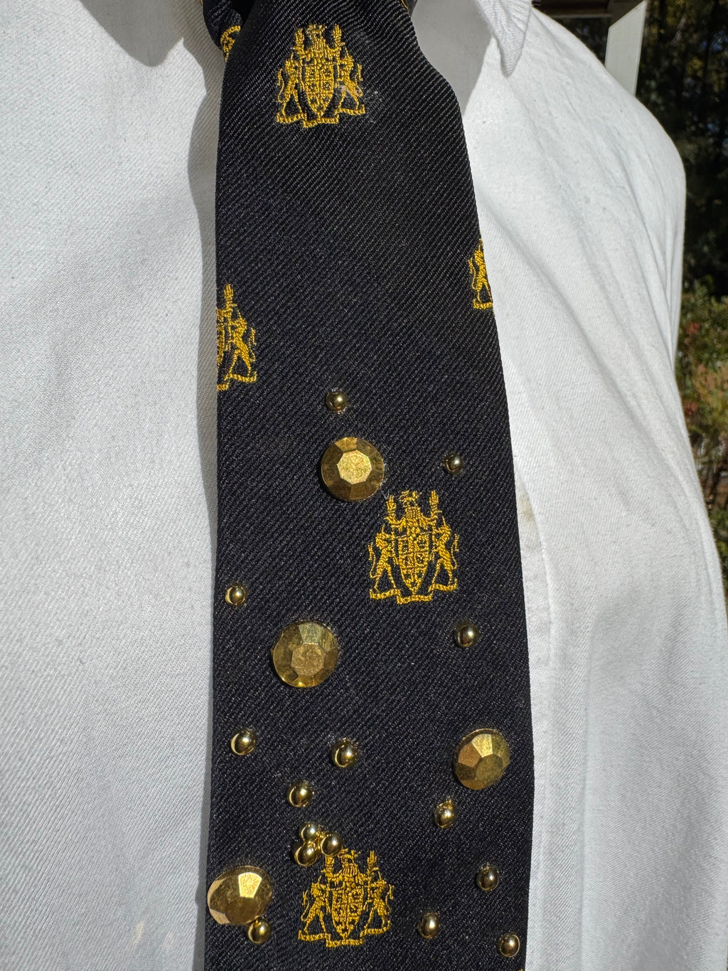 Black Lion High Class Royalty Tie